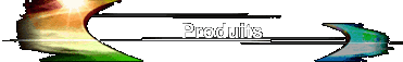  Produits